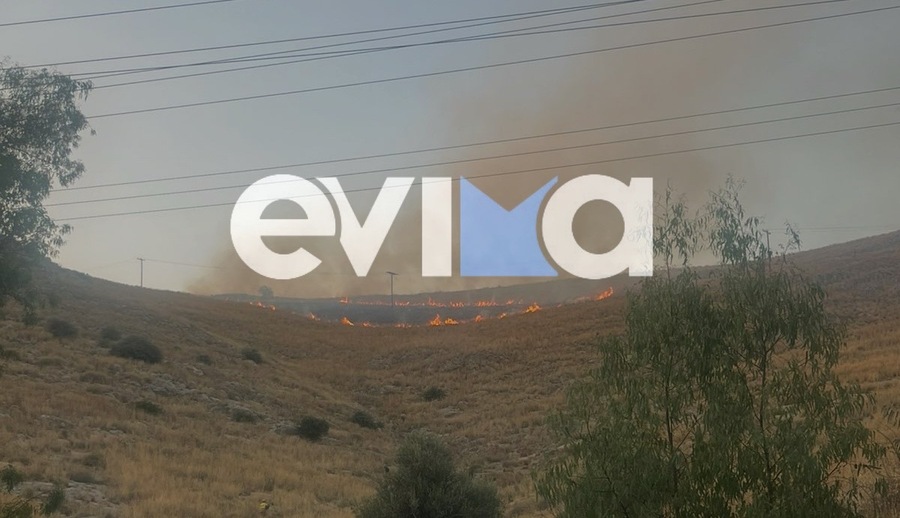 Φωτιά Εύβοια