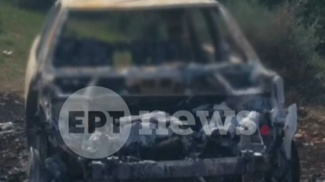 Σκούρτα Βοιωτίας: Σύνδεση με τη δολοφονία στον Επτάλοφο εξετάζουν οι αρχές - Φωτογραφία ντοκουμέντο