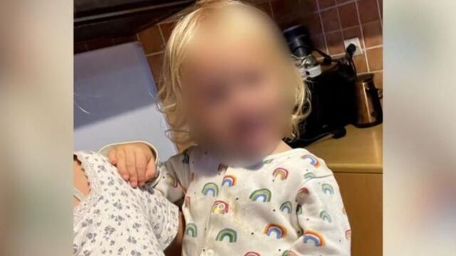 Zάκυνθος: Το μάζεψα γιατί ήταν ετοιμοθάνατο και αυτό σκότωσε τον γιο μου, λέει ο πατέρας του Λίο που κατασπαράχθηκε από πίτμπουλ (Βίντεο)