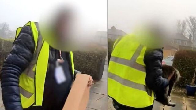 Βρετανία: Διανομέας αντί να παραδώσει δέμα σε σπίτι, έκλεψε τη γάτα - Κινδυνεύει με φυλάκιση έως 5 χρόνια (Βίντεο)