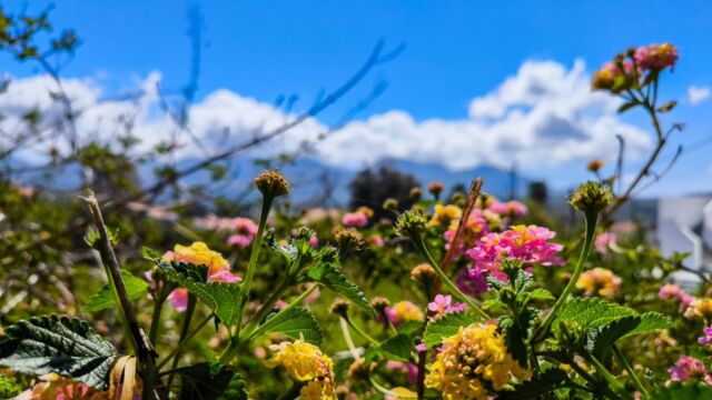 Ανοιξιάτικος ο καιρός την Κυριακή του Πάσχα - Ιδανικές οι συνθήκες το βράδυ της Ανάστασης (Βίντεο)