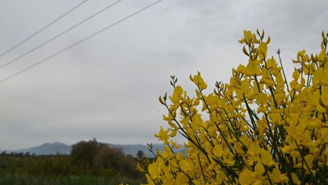 Χαλάει ξανά ο καιρός: Πότε επιστρέφουν οι καταιγίδες - 