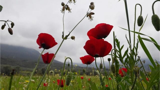 Καιρός: Προειδοποίηση Μαρουσάκη για την Πρωτομαγιά - Πού θα θυμίζει φθινόπωρο