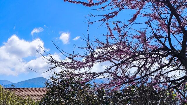 Καιρός: Αίθριος με ηλιοφάνεια, που θα σημειωθούν τοπικές βροχές και καταιγίδες - Αναμένεται 