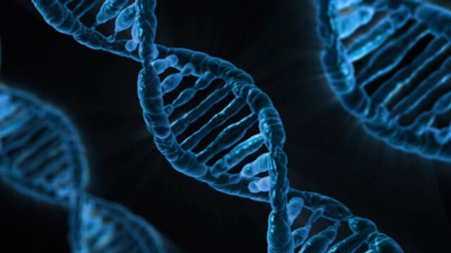 Νέα μελέτη DNA δίνει απαντήσεις για την καταγωγή των Αλβανών