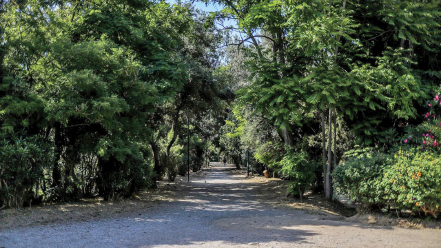Σύλληψη 52χρονου για πυρκαγιά στην Ακαδημία Πλάτωνος