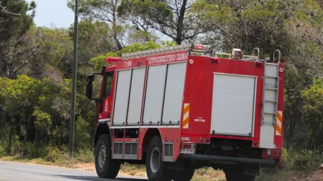 Φωτιά στη Σαλαμίνα: Καίει σε χαμηλή βλάστηση - Σε εξέλιξη η 