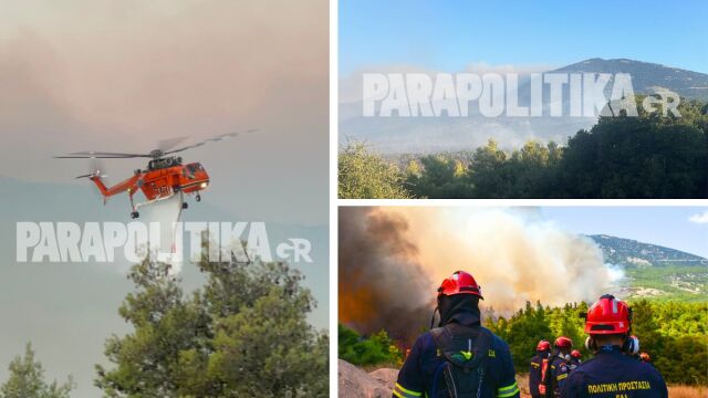 Live Φωτιές: Δύο τα βασικά μέτωπα στη Δυτική Αττική, νέα μηνύματα από το 112, εκκενώνονται Αγία Σκέπη, Κανδήλι, Μπότσικα - Βελτιωμένη η εικόνα στον Άγιο Νεκτάριο (Εικόνες & Βίντεο)