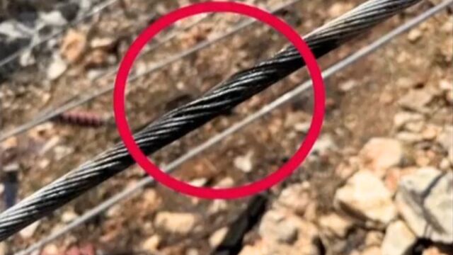 Φωτιές σε Αττική και Βοιωτία: Εικόνες-ντοκουμέντο από την αυτοψία στο σημείο που ξεκίνησε ο πύρινος όλεθρος (Βίντεο)