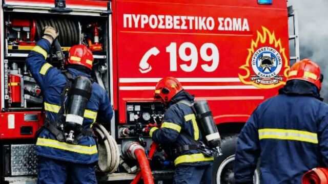 Αδιανόητο περιστατικό στην Ηλεία: Άναψε ψησταριά μέσα σε αλσύλλιο εν μέσω αντιπυρικής περιόδου