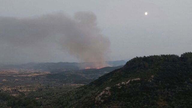 Φωτιά στον Άγιο Βλάσιο Βοιωτίας: Ολονύχτια μάχη με τις φλόγες - 92 πυροσβέστες στο μέτωπο