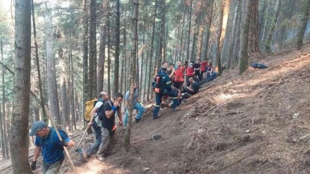 Φωτιά στην Κόνιτσα: Βελτιωμένη η εικόνα από το πύρινο μέτωπο - Μεγάλη επιχείρηση στο δάσος (Eικόνες)