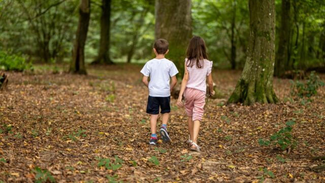 Πώς μια βόλτα σε πάρκο κατέληξε σε εφιάλτη για 6χρονο λάτρη των ζώων που νόμιζε ότι “έπαιζε” με άκακη σαύρα