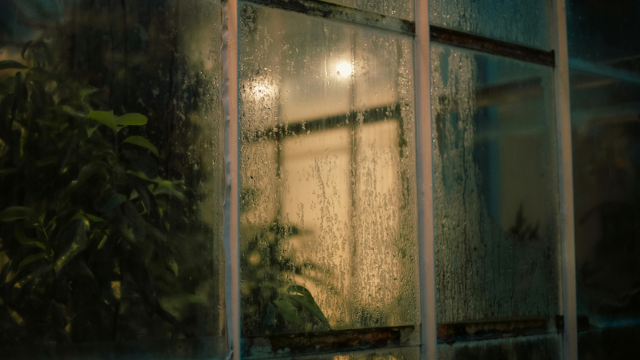 Για ποιον λόγο όλο και περισσότεροι βάζουν ένα κουτάλι στο παράθυρο; Μόλις μάθεις, θα ευγνωμονείς