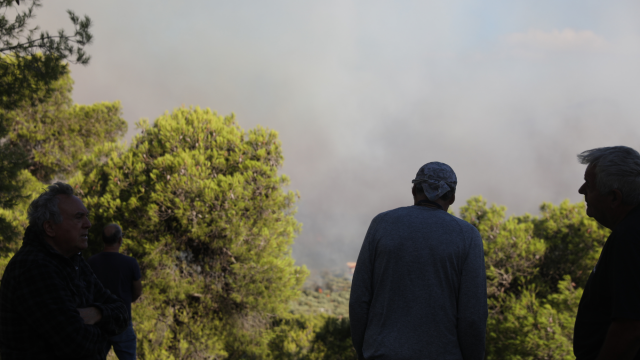 Live Φωτιές: Στις φλόγες το Πόρτο Γερμενό, κάηκαν σπίτια, απεγκλωβισμοί από την παραλία - Σταμάτησαν τα εναέρια μέσα λόγω των ανέμων (Εικόνες & Βίντεο)