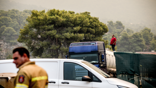 Live Φωτιές: Σε Άγιο Νεκτάριο και Λιβαδόστρα τα μεγαλύτερα μέτωπα - Μπαράζ 112 σε Βοιωτία και Αιγιαλεία (Εικόνες & Βίντεο)