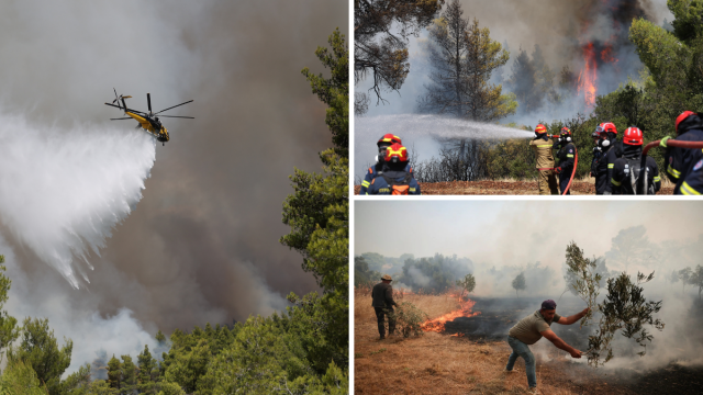 Live Φωτιές: Ανεξέλεγκτο το μέτωπο στα Μέγαρα, καίγονται σπίτια στο Κρύο Πηγάδι, εκκενώθηκαν οικισμοί - Μαίνεται η φωτιά στη Κεφαλονιά (Εικόνες & Βίντεο)
