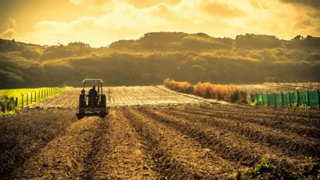 Μέτρο 23: Παρατείνεται η προθεσμία υποβολής αιτήσεων έως τις 20 Ιουνίου