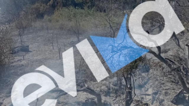 Εύβοια: Σύλληψη 56χρονου για πρόκληση πυρκαγιάς σε δασική έκταση