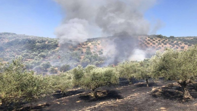 Φωτιά στη Μεσσηνία: Tρεις εστίες μέσα σε λίγη ώρα