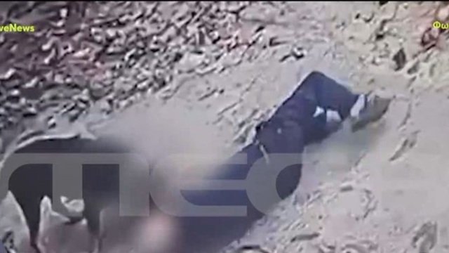 Καλαμάτα: Η στιγμή που το Ροτβάιλερ κατασπαράζει τον ιδιοκτήτη του - Σκληρές εικόνες (Βίντεο)