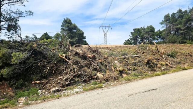 Ακαθάριστα οικόπεδα: Από 1η Απριλίου ξεκινά η προθεσμία καθαρισμού - Τι αλλάζει φέτος (Βίντεο)