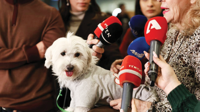 Ζώα συντροφιάς: Η επιτυχημένη πτήση επαναπατρισμού από το Άμπου Ντάμπι και η παραδειγματική στάση των ιδιοκτητών τους