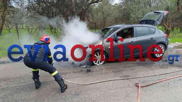 Εύβοια: Φωτιά σε αυτοκίνητο εν κινήσει, τα... είδε όλα οικογένεια (Εικόνες)