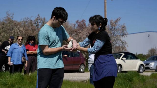 Άγρια πουλιά αφέθηκαν ελεύθερα μετά τον τραυματισμό τους (Εικόνες)