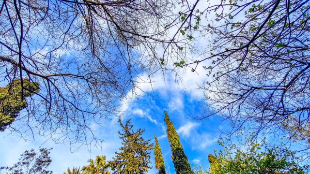 Καιρός: Με καλές θερμοκρασίες και ηλιοφάνεια ξεκινά η Μεγάλη Εβδομάδα - Πού θα βρέξει (Βίντεο)