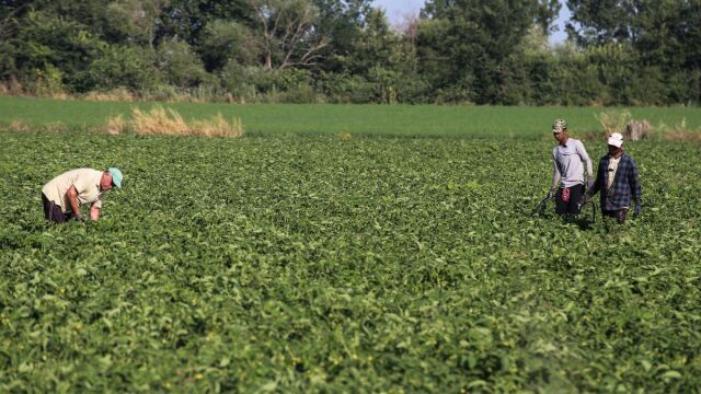 ΑΑΔΕ: Πληρωμή 202 εκ. ευρώ για 294 χιλ. αγροτεμάχια μετά από έλεγχο