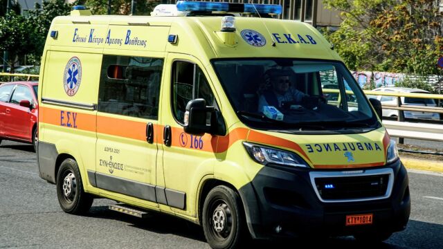 Πειραιάς: Σκύλος δάγκωσε 2χρονη και την τραυμάτισε στο κεφάλι, συνοδεία ΔΙΑΣ μετέβη στο Παίδων - Συνελήφθη η γιαγιά της