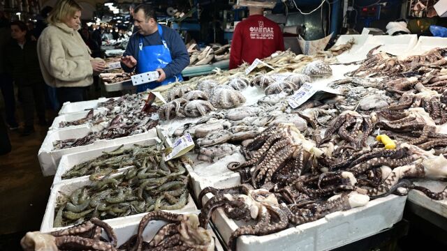 Υψηλή παραμένει η ζήτηση για θαλασσινά - Γιατί αυξήθηκαν οι τιμές τους (Βίντεο)