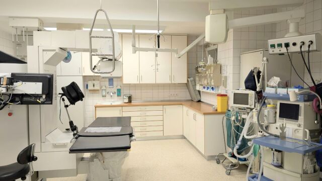 Εργατικό ατύχημα στον Βόλο: Κατέληξε ο 58χρονος που καταπλακώθηκε από μικρό εκσκαφέα