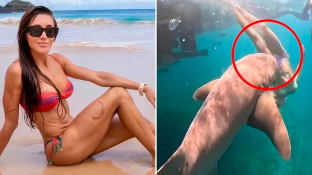 Βραζιλία: Η στιγμή που καρχαρίας αρπάζει από το πόδι τουρίστρια μόλις βουτά στη θάλασσα (Βίντεο)