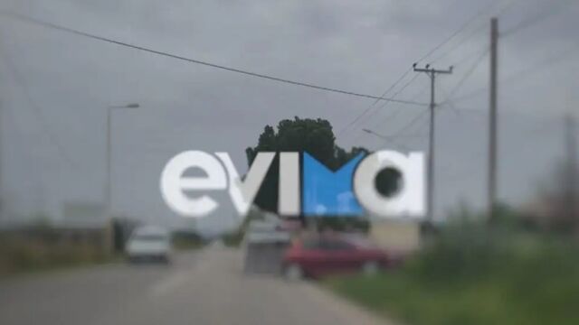 Τροχαίο στην Εύβοια: Αυτοκίνητο προσέκρουσε αρχικά σε μάντρα και στη συνέχεια σε δέντρο