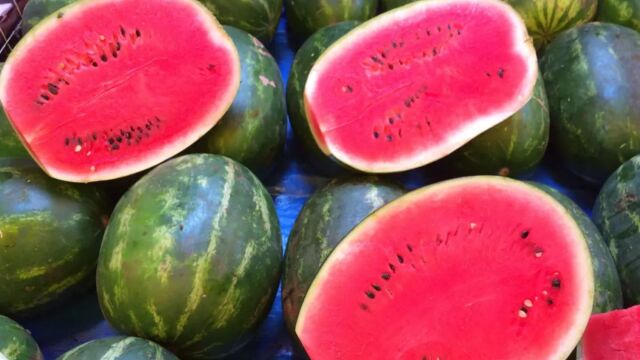 Καρπούζι: Η ιδιαίτερη ετυμολογία και η ιστορία του αγαπημένου καλοκαιρινού φρούτου