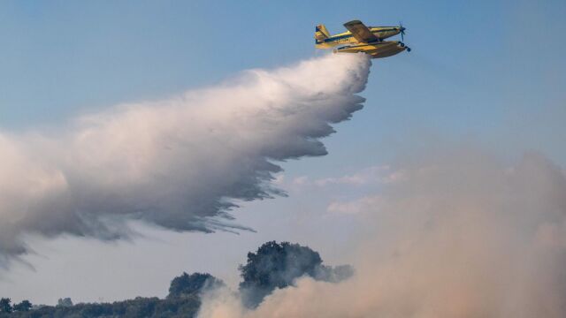 Πήλιο: Φωτιά σε δασική έκταση στο Νεοχώρι - Επιχειρούν εναέρια μέσα