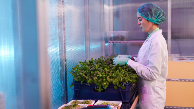 Τα 10 χαμένα εργοστάσια κάνναβης της Ελλάδας