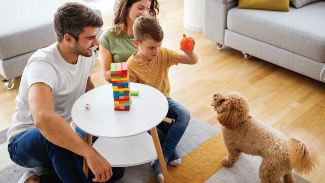 Η Ισπανία πρωτοπορεί! Nέος νόμος αντιμετωπίζει τα κατοικίδια ζώα σε μια οικογένεια ως ισότιμα μέλη της