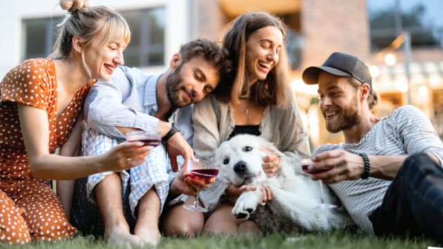 Λουρί, βόλτα και νέες γνωριμίες: Τα σκυλιά μας γίνονται αφορμή για να έρθουμε πιο κοντά, να πούμε δυο κουβέντες και να δημιουργήσουμε φιλικές σχέσεις