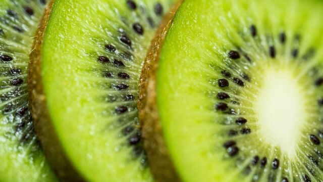 Το ελληνικό φρούτο που ζητά όλος ο πλανήτης: Ανοδική τροχιά στις εξαγωγές ακτινίδιων