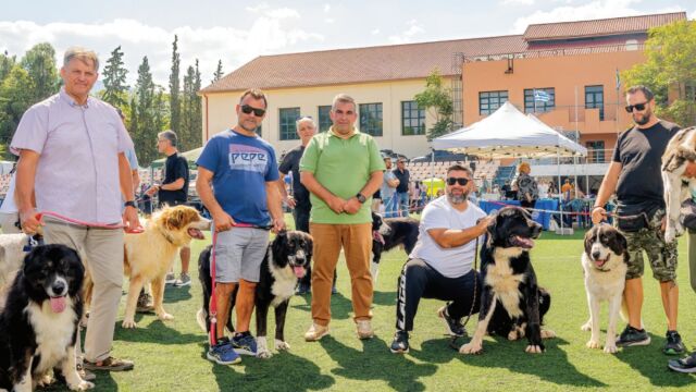 Ελληνικός Ποιμενικός: Ένας σκύλος-προστάτης που διακρίνεται για την εξαιρετική αντοχή του, την αφοσίωση, την τόλμη και τη γενναιότητά του