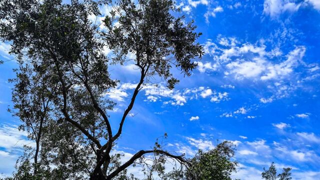 Καιρός: Επιστροφή στο ανοιξιάτικο σκηνικό με ηλιοφάνεια και ανεβασμένες θερμοκρασίες - Πού θα σημειωθούν βροχές και σποραδικές καταιγίδες (Βίντεο)