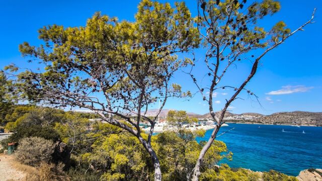 Καιρός: Έρχονται καλοκαιρινές θερμοκρασίες στην Αττική - Ποια ημέρα της επόμενης εβδομάδας θα 