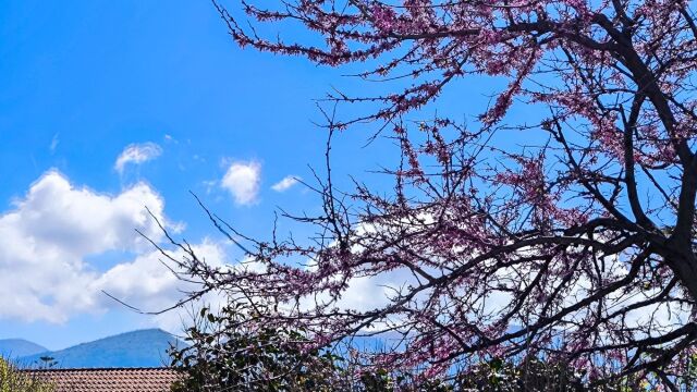 Καιρός: Αίθριος σχεδόν σε όλη τη χώρα - Αναλυτικά η πρόγνωση