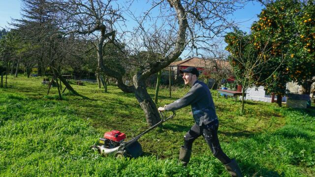 Καθαρισμός οικοπέδων: Υποχρεώσεις ενόψει της αντιπυρικής περιόδου - Τι προβλέπει η νέα ΚΥΑ