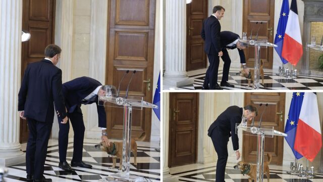 Κυριάκος Μητσοτάκης και Εμανουέλ Μακρόν συναντήθηκαν στο Μέγαρο Μαξίμου, αλλά ο Πίνατ… μαγνήτισε τα βλέμματα (Εικόνες)