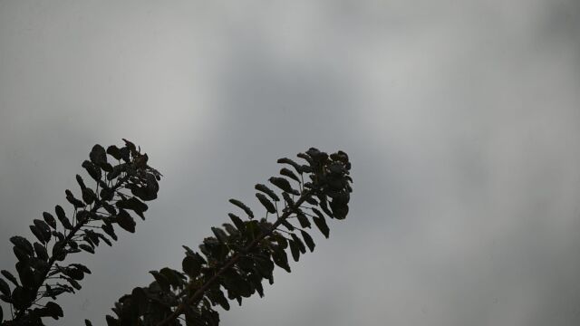 Καιρός: Με βροχές και κρύο θα κάνουμε Πρωτομαγιά - Σε ποιες περιοχές αναμένονται μέχρι και χιόνια