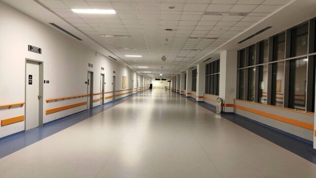 Ζάκυνθος: Συναγερμός για τα κρούσματα λεπτοσπείρωσης - Κλιμάκιο του ΕΟΔΥ στο νησί